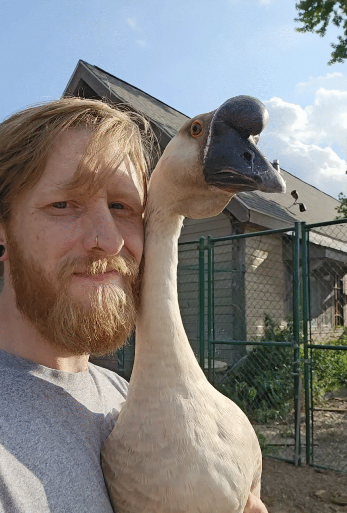 An Operation Saves team member smiling outdoors while holding a rescued goose close in front of an animal enclosure.