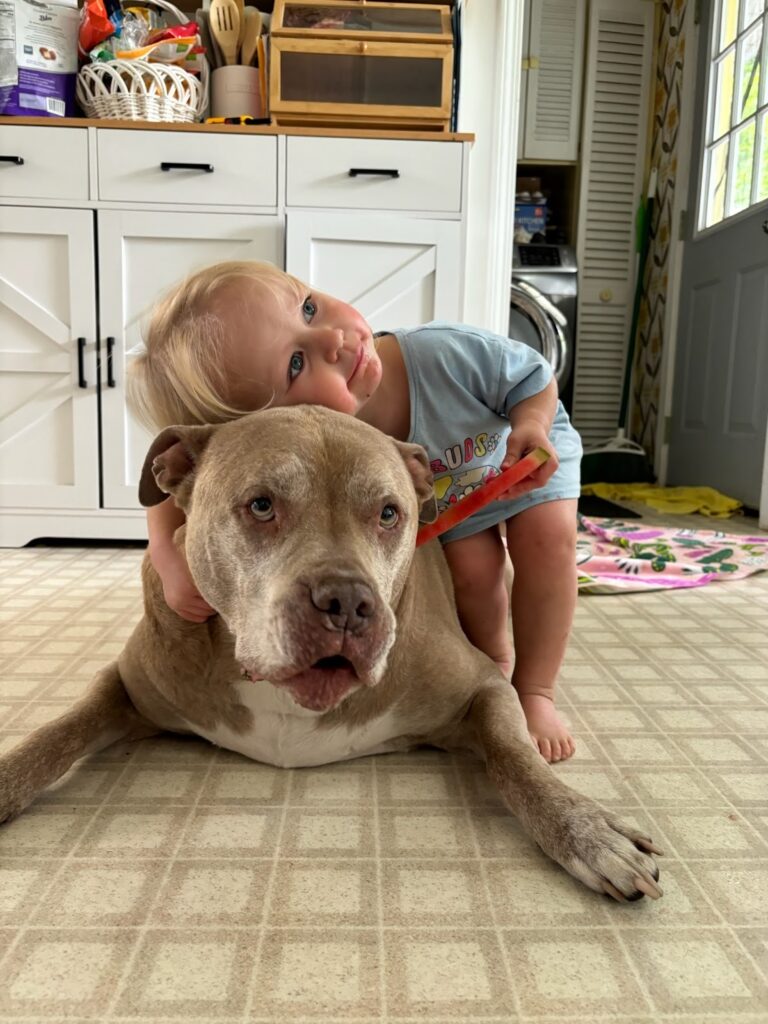 Buddy getting hugged by his adopter.