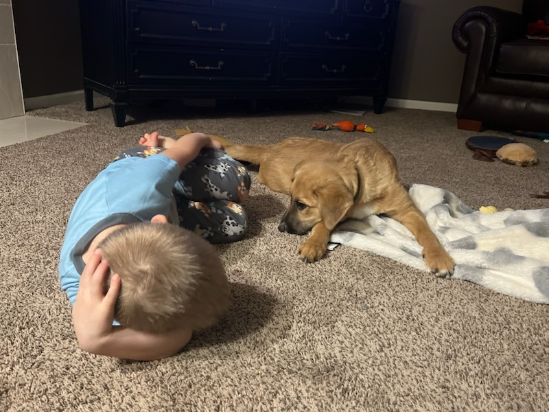 Harley and her little owner cuddling on the floor.