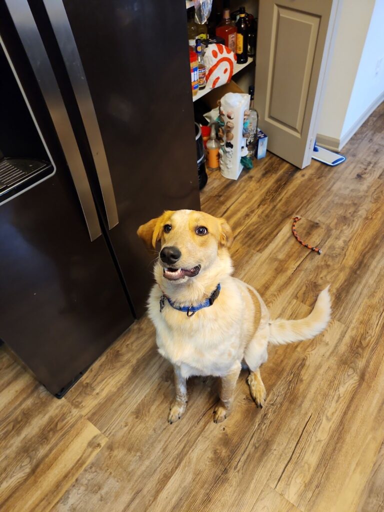 Jason smiling for the camera.