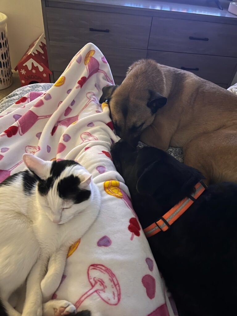 Jensen cuddling with his furry roommate.