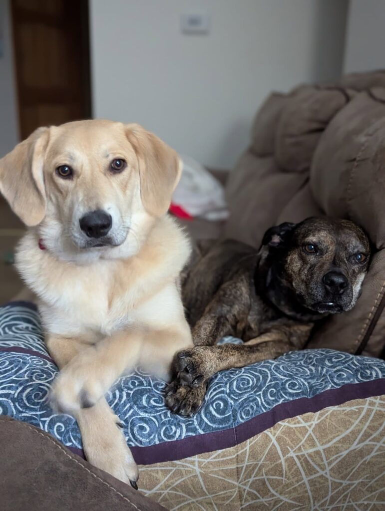 Julia and her furry roommate