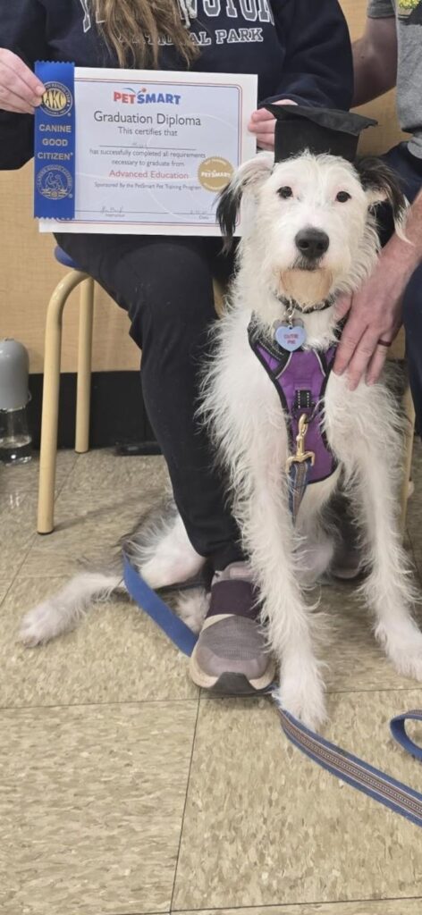 Mitzi went to training!