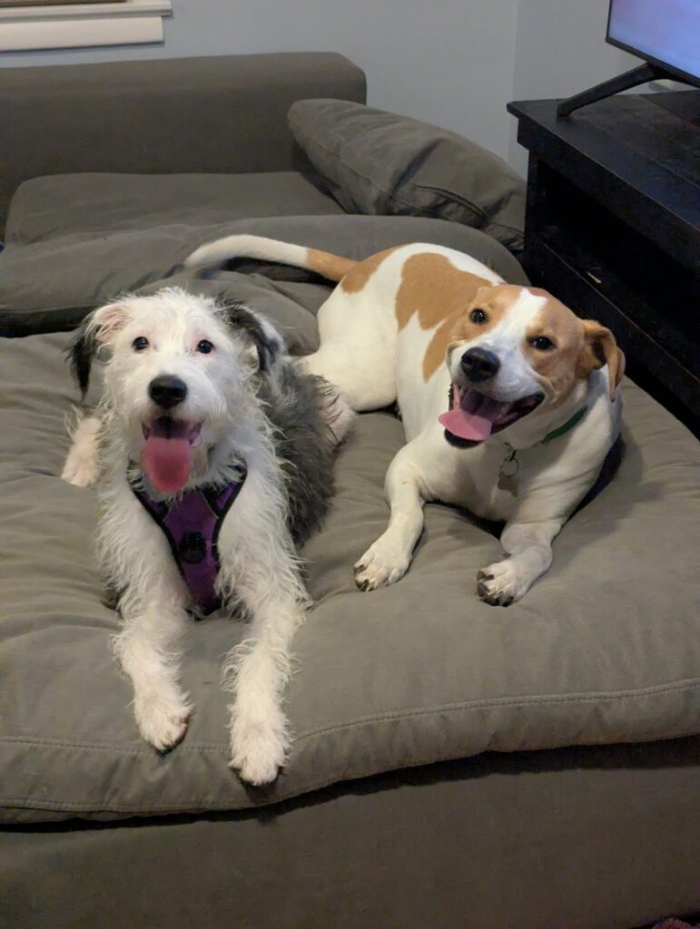 Mitzi and her furry roommate.